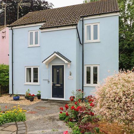 Mews Cottage Carmarthen Kültér fotó