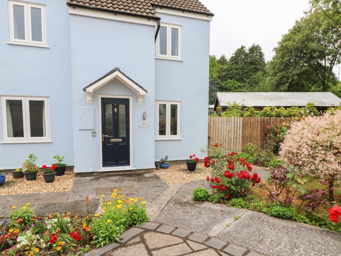 Mews Cottage Carmarthen Kültér fotó